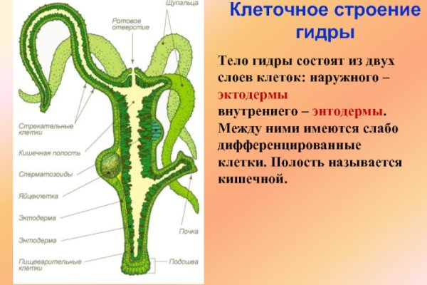 Кракен в россии наркотик