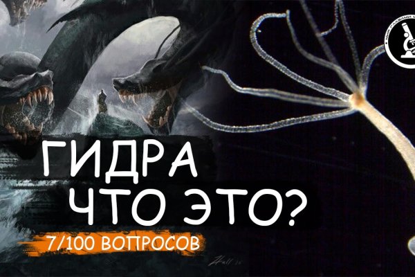 Кракен онион тор
