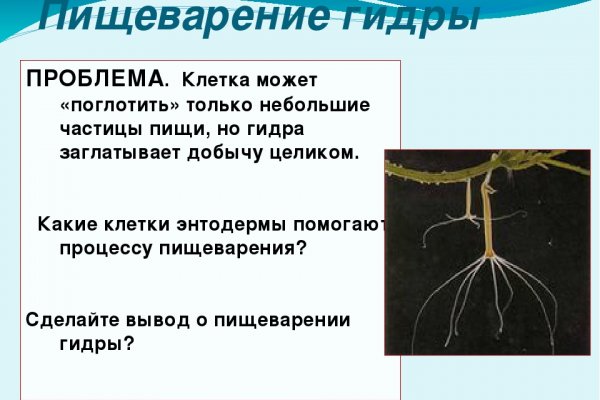 Кракен маркет даркнет скачать