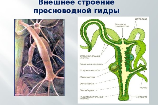 Что продает кракен