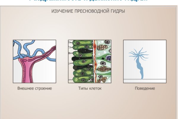 Какой нужен тор чтоб зайти в кракен