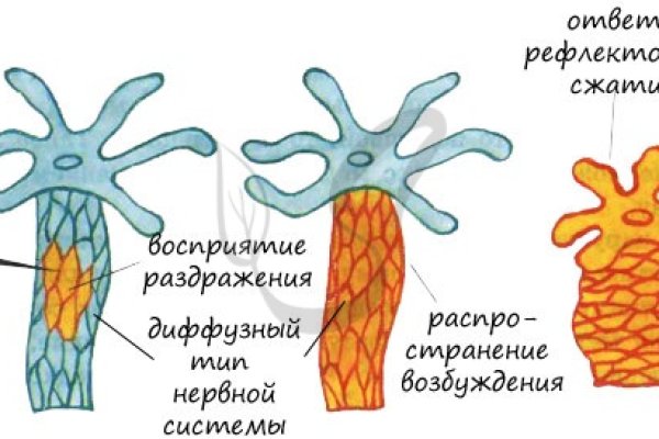 Кракен адрес тор